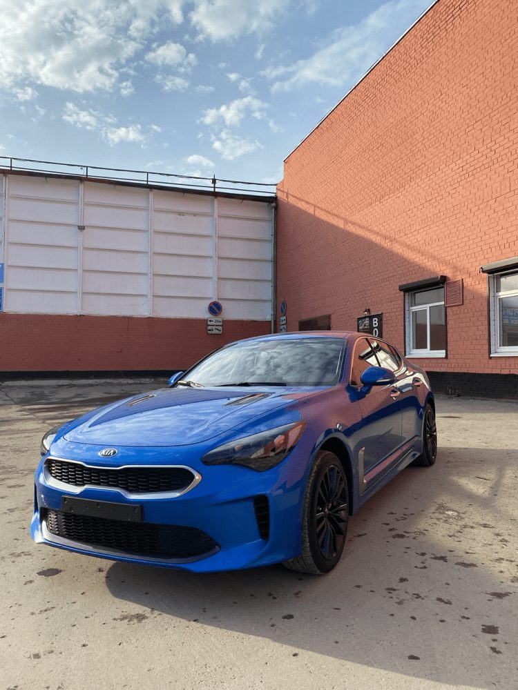 Синий Kia Stinger после полировки кузова у бокса GS Detailing